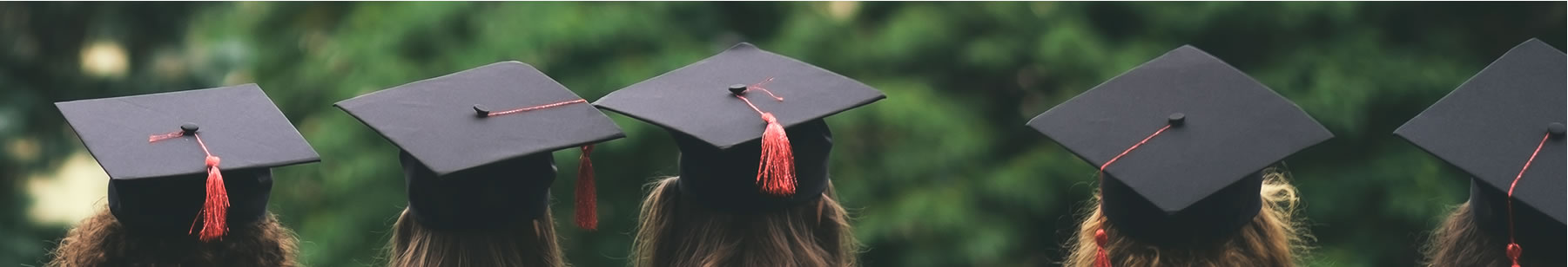 img-Scholarships and Student Loans